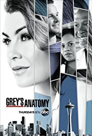greys anatomy abc tv show